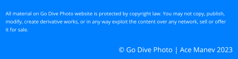 © Go Dive Photo | Ace Manev 2023 All material on Go Dive Photo website is protected by copyright law. You may not copy, publish, modify, create derivative works, or in any way exploit the content over any network, sell or offer it for sale.